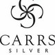 Carrs CH2/H/W lasten hopeinen nallekehys