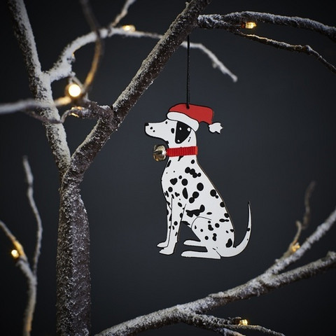 Joulukoriste, Dalmatialainen
