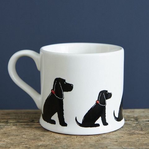 Muki Cocker Spaniel