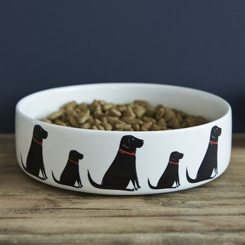 Iso ruokakuppi Labradorit, musta