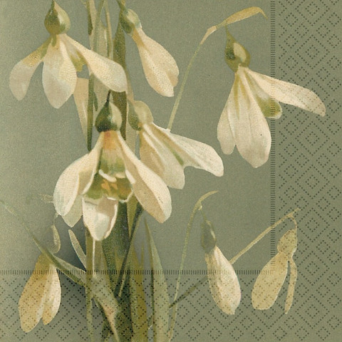 Unnamed