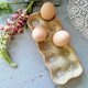 Mummolan munakenno oliivi