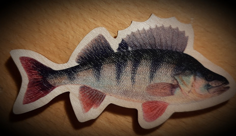 Kala-aiheinen magneetti, Ahven (Perca fluviatilis)