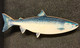 Kala-aiheinen magneetti, Lohi (Salmo salar)