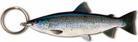 Kala-aiheinen avaimenperä, Meritaimen (Salmo trutta trutta)