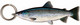 Kala-aiheinen avaimenperä, Meritaimen (Salmo trutta trutta)