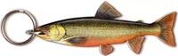 Kala-aiheinen avaimenperä, Nieriä (Salvelinus alpinus)