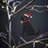 Joulukoriste Labradorinnoutaja, musta
