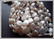 Makeanveden helmi, kolikko 12-12,5 mm, valkoinen, 5 kpl