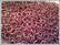 Rengas Ø 4.1 mm, lanka 1.2 mm, 50 kpl, satiini pinkki