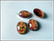 Lasikapussi 18 x 13 mm, 