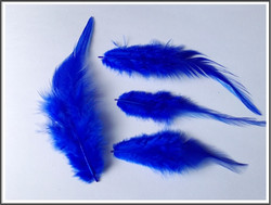 Höyhenet 10-18 cm, sähkönsininen, 10 kpl