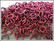 Rengas Ø 5.7 mm, lanka 1.6 mm, 50 kpl, rose