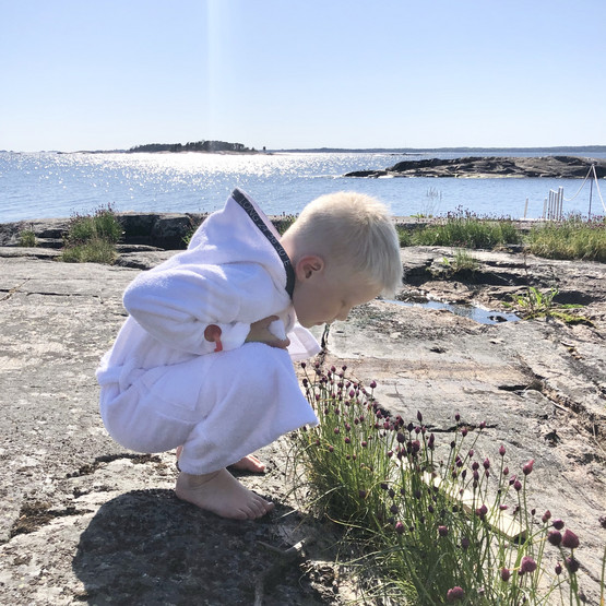 Harmajakylpytakki, valkoinen