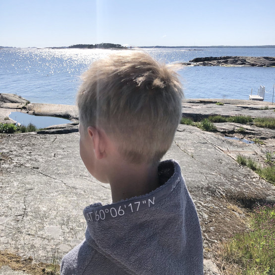 Harmajakylpytakki, harmaa