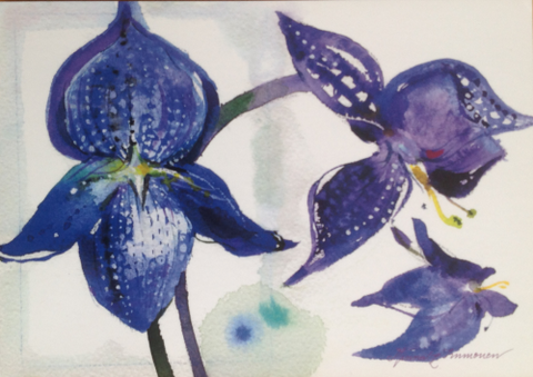 Sininen orkidea