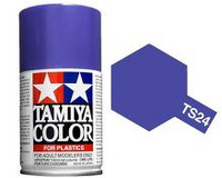 TS-24 Purple 100ml