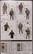 German Infantry Set Vol.1 (Early), 1:35 (pidemmällä toimitusajalla)
