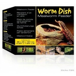 Exo Terran Worm Dish