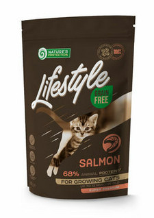 Lifestyle Cat, Kitten, LOHI