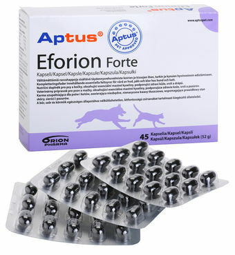 Eforion Forte kapseli 45 tablettia