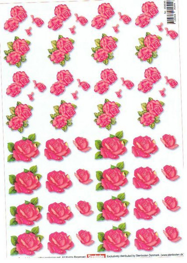 3D, Vaaleanpunaiset ruusut