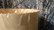 VANERIKKO -roskakori, 72cm, VÄRITÖN (koivun oma väri)