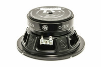 DLS RZ6.2Q