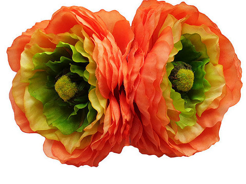 May Double Ranunculus
