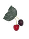 Cherry Hair Clip