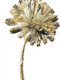Casey The Flower Brooch, rintaneula