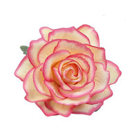 Bohemian flower,   rose edge