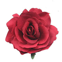 Bohemian flower,  dark  red