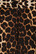 5505 HELL BUNNY PANTHERA 50´S SKIRT