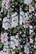 50091 HELL BUNNY ALBA 50´S SKIRT
