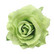 Bohemian flower,  green
