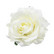Bohemian flower, off-white