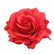 Bohemian flower,  red
