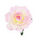 Bohemian flower,  vaalea pinkki