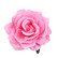 Bohemian flower, pink1