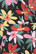 62043 LADY VINTAGE LYRA MINI BLOOM polvimittainen kukkamekko