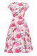 62045 LADY VINTAGE ESME BLUSH FLORAL DRESS