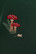 21171 BANNED WOODLAND MUSHROOM NEULETAKKI, VIHREÄ