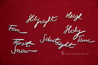Brush Art Script:  Holly  - leikekuviopakkaus