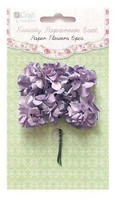 Carnation Purple 6 kpl