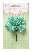 Carnation Mint 6 kpl