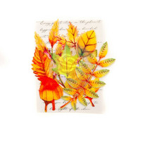 Prima Marketing Leaf Embellishments: Autumn Maple