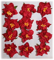 Reprint: Gardenias Red  - paperikukkapakkaus