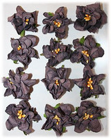 Reprint: Gardenias Amethyst - paperikukkapakkaus