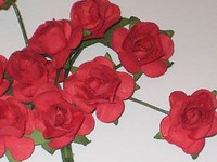 Reprint: Red Roses  - paperikukkapakkaus
